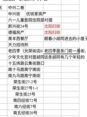 沈阳小粉灯合集