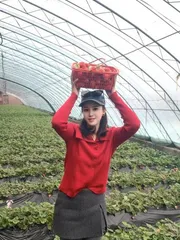 高颜值雅雅