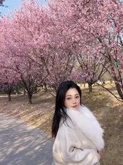 可爱大胸mini