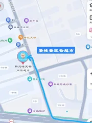 津南飞机小店