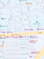 巢湖夜晚路边美女